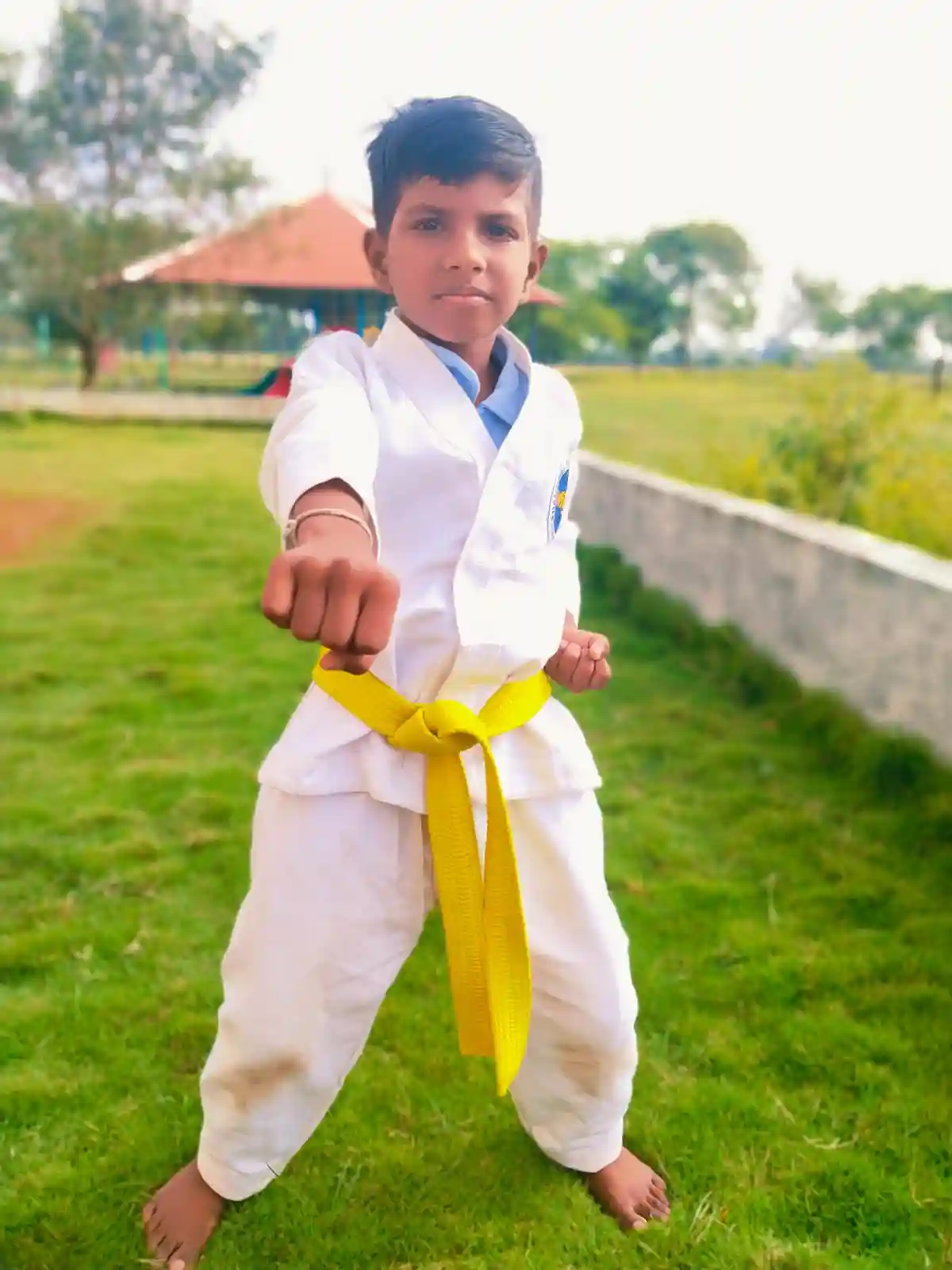 Traditional Martial Arts